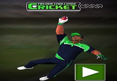 LITTLE MASTER CRICKET - Play Online for Free!